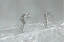 3.3.1a z�kladn� krok v horskom ly�ovan�